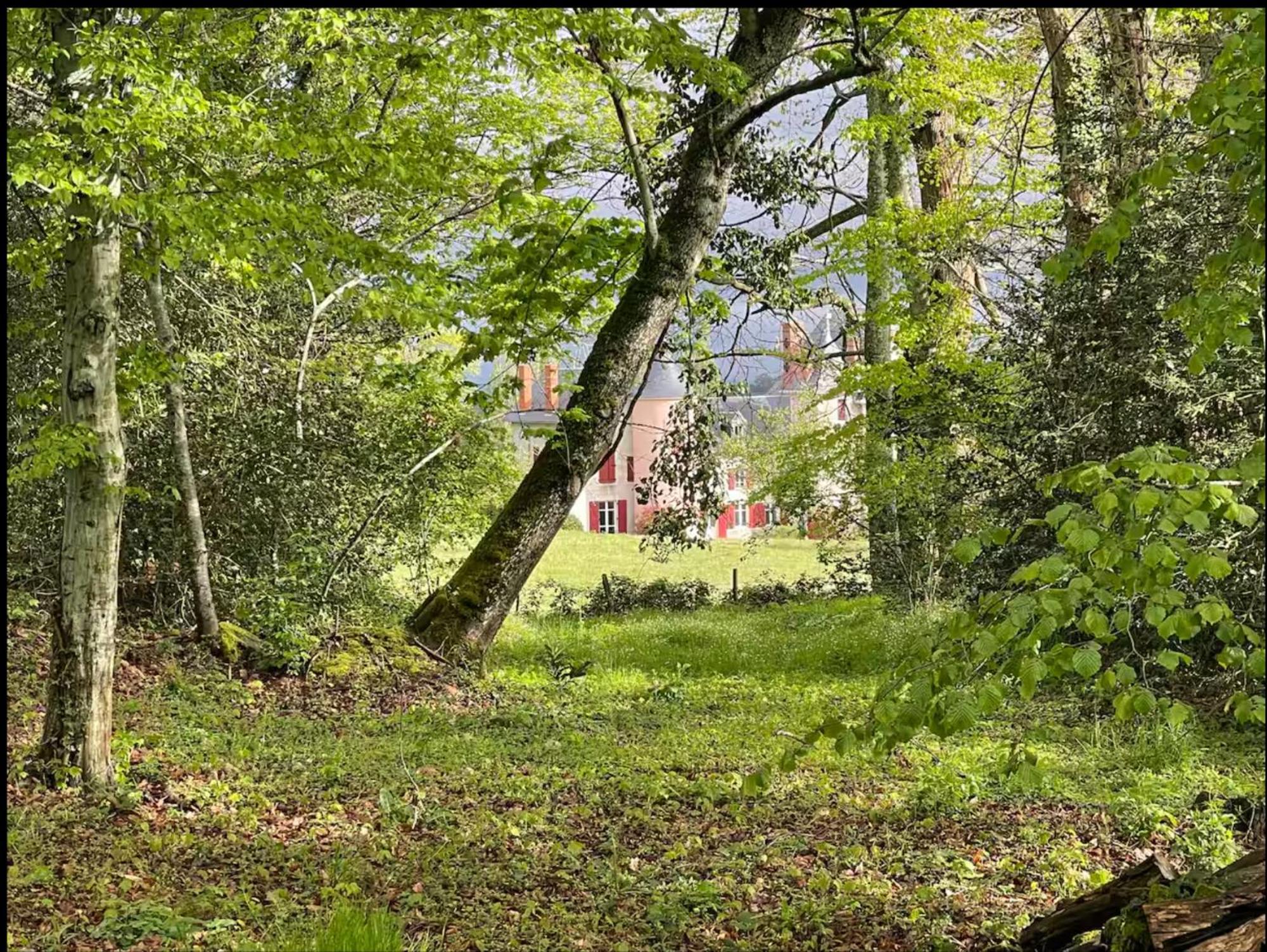 Chateau De La Combe La Celle  Екстер'єр фото